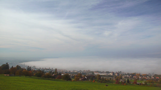 Wetterzeichzen: Kalter See erzeugt Nebel