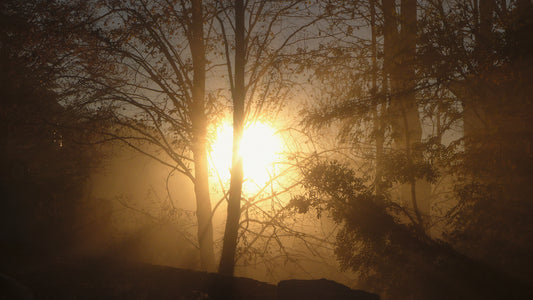 Wetterzeichen: Warmer Oktober bringt kalten Winter