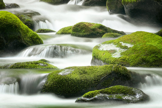 Den Fluss des Lebens wieder leben lernen