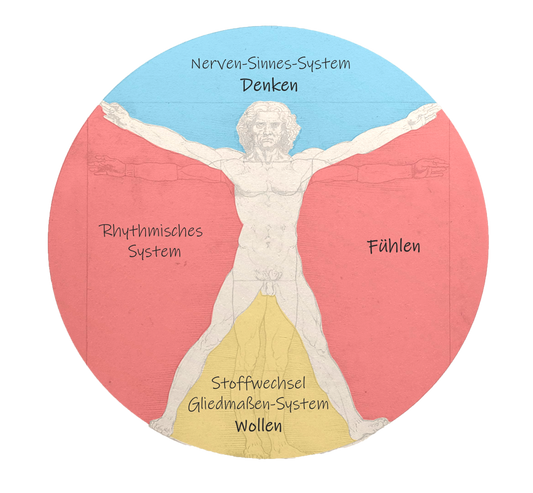 Anthroposophische Medizin